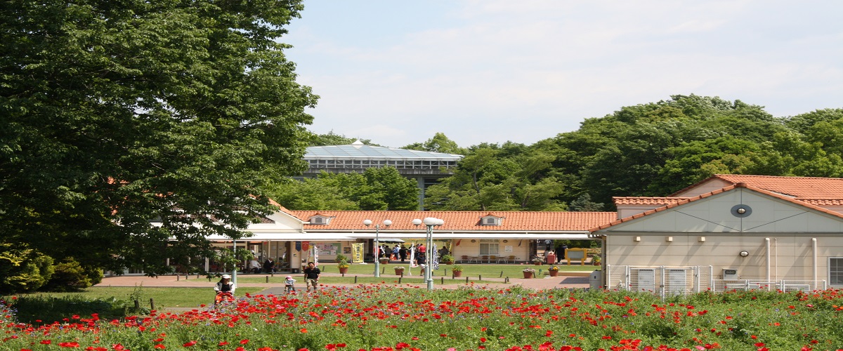 わんぱく公園