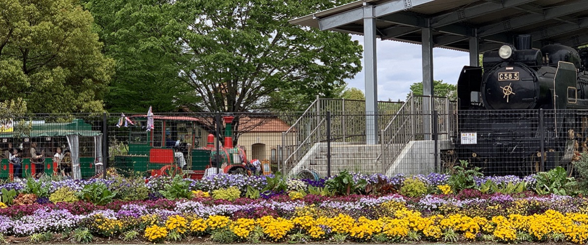 公園